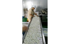 我公司鵪鶉蛋生產(chǎn)線螺旋煮蛋機(jī)獲得證書