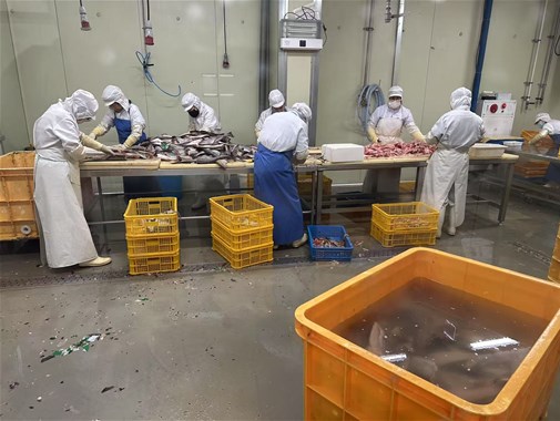 你知道袋裝即食魚(yú)應(yīng)該如何殺菌效果更好嗎？