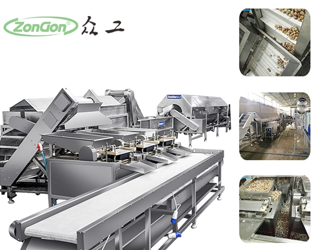 鵪鶉蛋蒸煮剝殼生產(chǎn)線